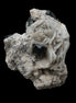 Black Tourmaline pyramidal terminated crystal in Mica Feldspar matrix from Skardu, Pakistan 144.7g Rocks and Things