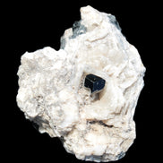 Black Tourmaline pyramidal terminated crystal in Mica Feldspar matrix from Skardu, Pakistan 144.7g Rocks and Things