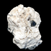 Black Tourmaline pyramidal terminated crystal in Mica Feldspar matrix from Skardu, Pakistan 144.7g Rocks and Things