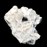 Black Tourmaline pyramidal terminated crystal in Mica Feldspar matrix from Skardu, Pakistan 144.7g Rocks and Things