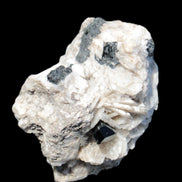 Black Tourmaline pyramidal terminated crystal in Mica Feldspar matrix from Skardu, Pakistan 144.7g Rocks and Things