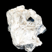 Black Tourmaline pyramidal terminated crystal in Mica Feldspar matrix from Skardu, Pakistan 144.7g Rocks and Things