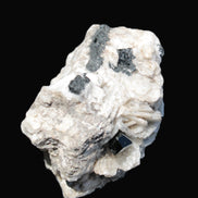 Black Tourmaline pyramidal terminated crystal in Mica Feldspar matrix from Skardu, Pakistan 144.7g Rocks and Things