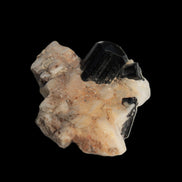 Black Tourmaline terminated crystal in Feldspar from Skardu, Pakistan 45.7ct 9.1g - Rocks and Things Store