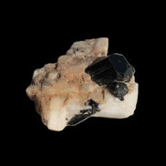 Black Tourmaline terminated crystal in Feldspar from Skardu, Pakistan 45.7ct 9.1g - Rocks and Things Store