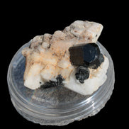 Black Tourmaline terminated crystal in Feldspar from Skardu, Pakistan 45.7ct 9.1g - Rocks and Things Store