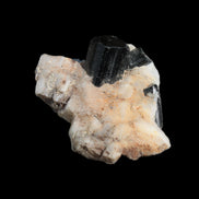 Black Tourmaline terminated crystal in Feldspar from Skardu, Pakistan 45.7ct 9.1g Rocks and Things