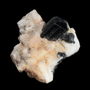 Black Tourmaline terminated crystal in Feldspar from Skardu, Pakistan 45.7ct 9.1g Rocks and Things