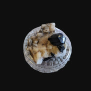 Black Tourmaline terminated crystal in Feldspar from Skardu, Pakistan 45.7ct 9.1g Rocks and Things