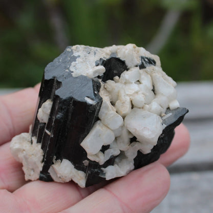 Black Tourmaline terminated crystal with Feldspar from Skardu  610.6ct 122g Rocks and Things