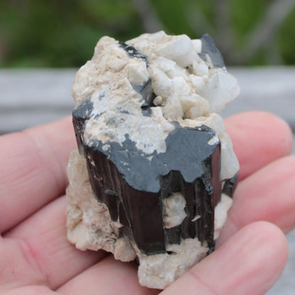 Black Tourmaline terminated crystal with Feldspar from Skardu  610.6ct 122g Rocks and Things