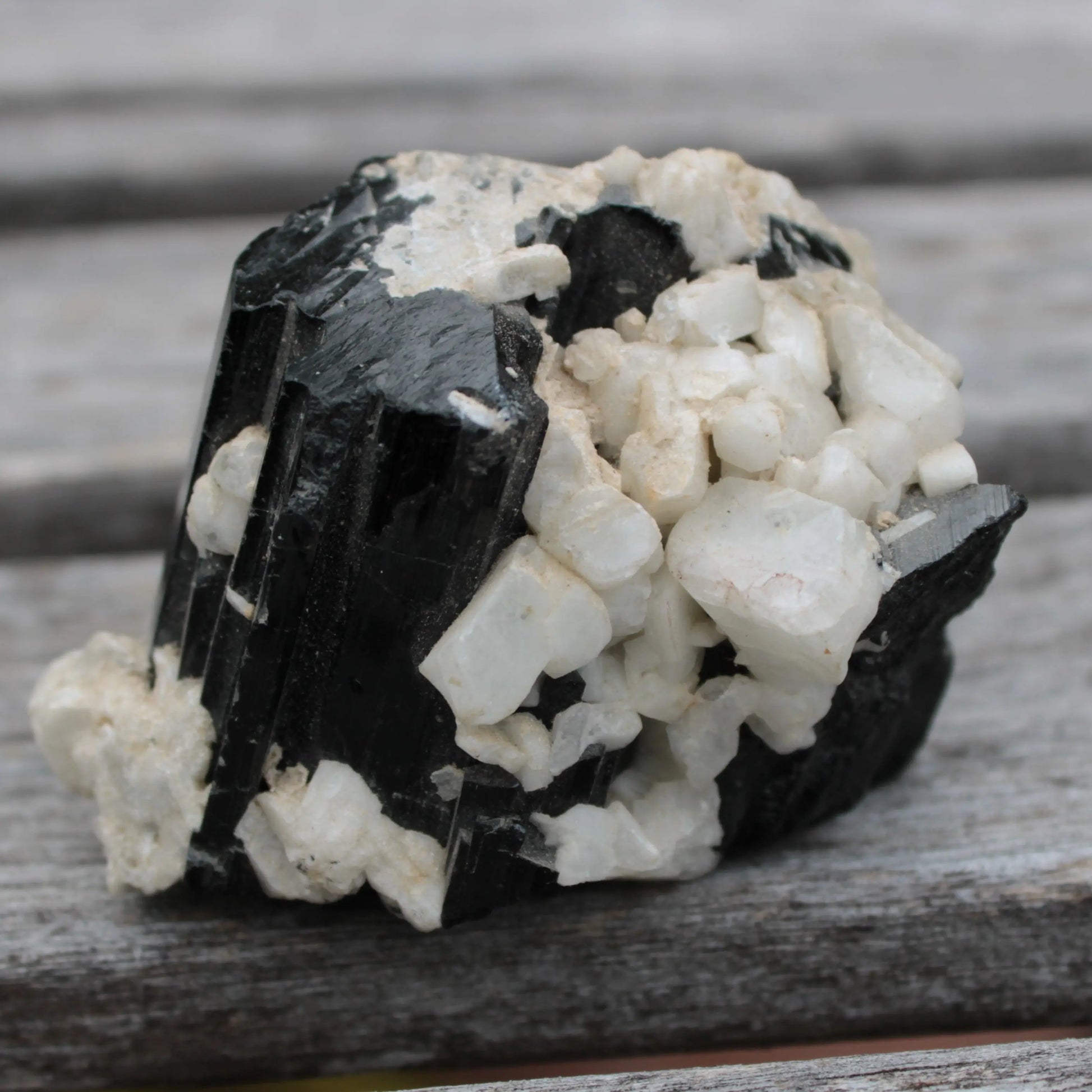 Black Tourmaline terminated crystal with Feldspar from Skardu  610.6ct 122g Rocks and Things