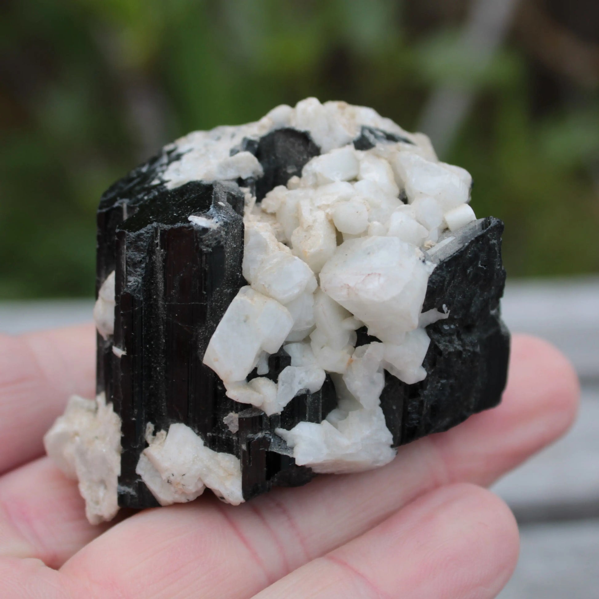 Black Tourmaline terminated crystal with Feldspar from Skardu  610.6ct 122g Rocks and Things