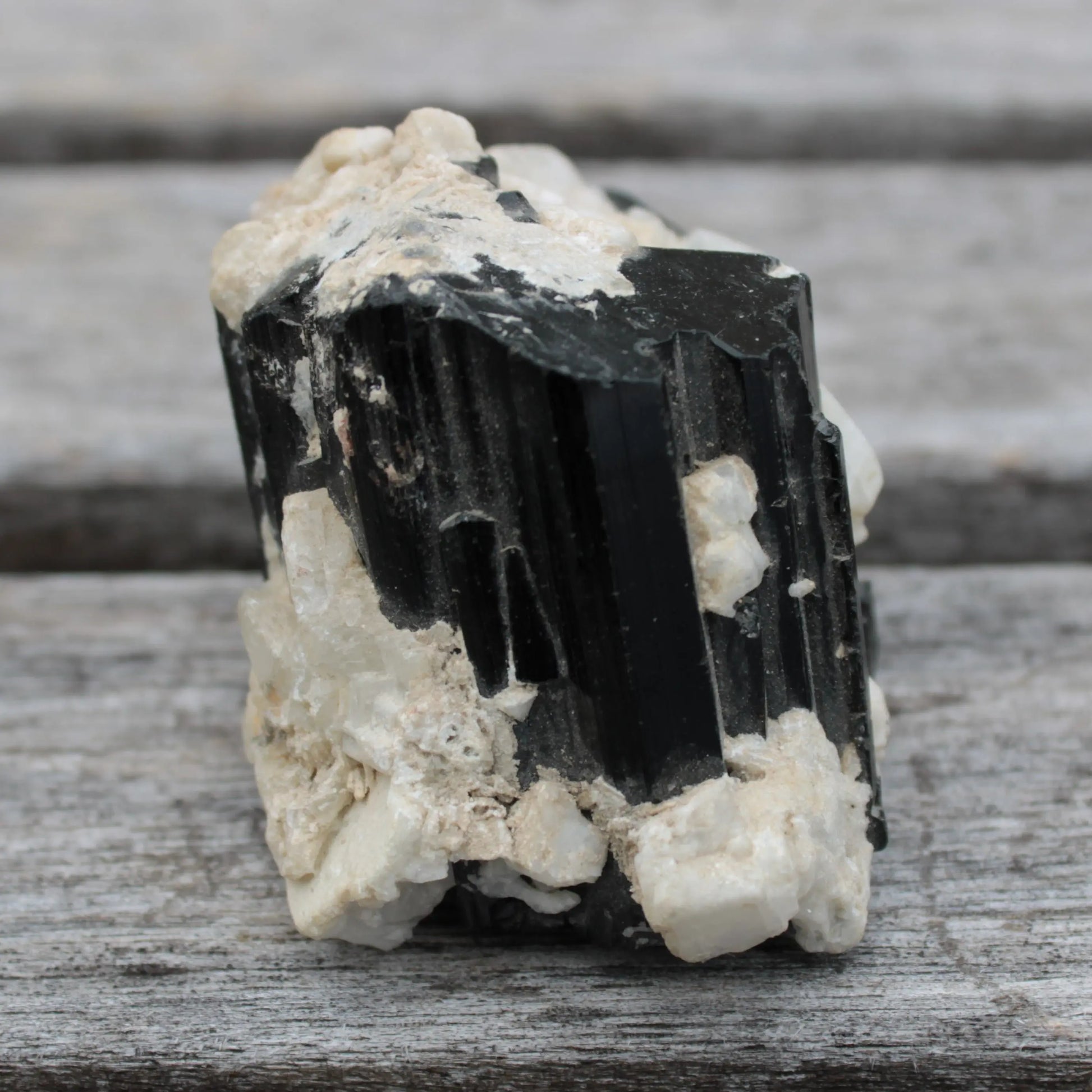 Black Tourmaline terminated crystal with Feldspar from Skardu  610.6ct 122g Rocks and Things