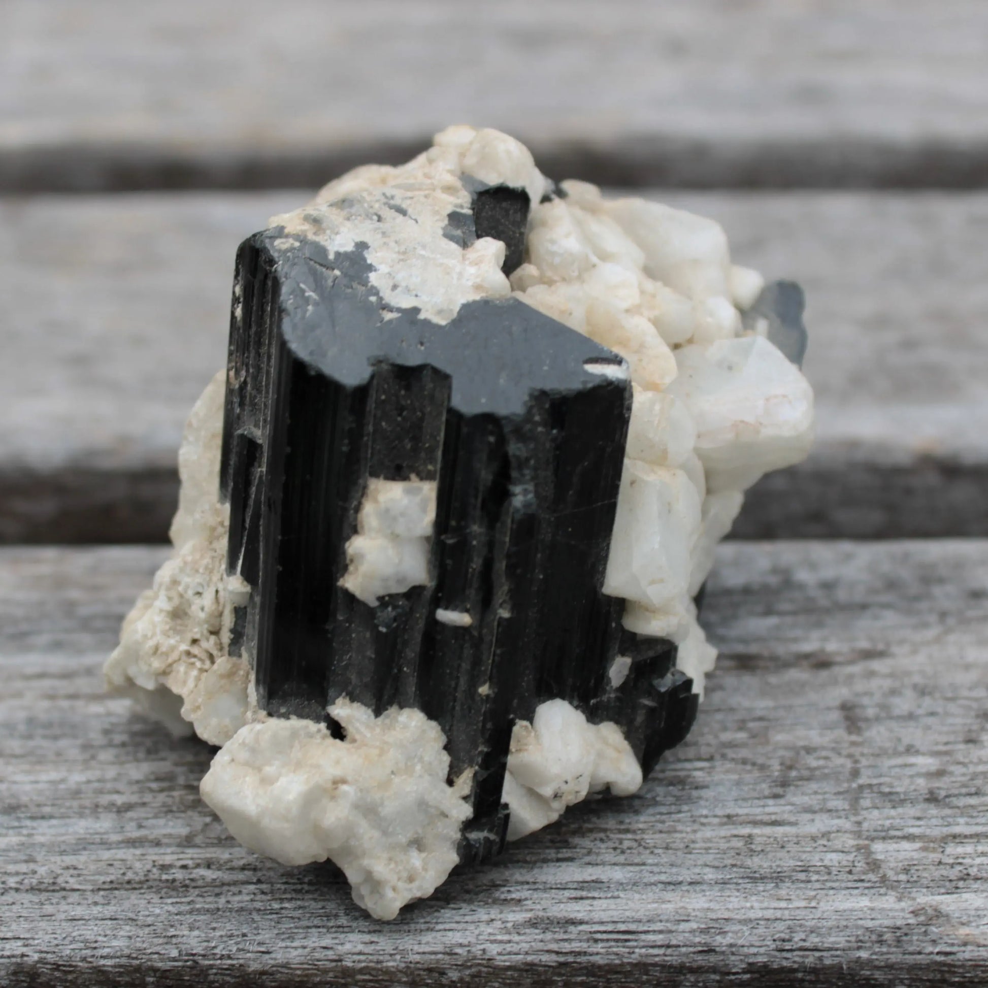 Black Tourmaline terminated crystal with Feldspar from Skardu  610.6ct 122g Rocks and Things