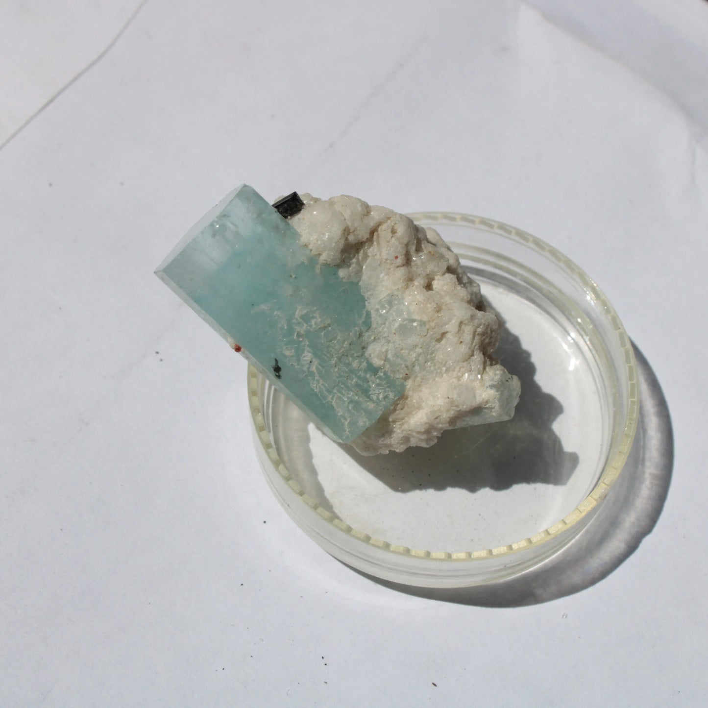 Blue Aquamarine Terminated crystal on matrix 14.6g Rocks and Things