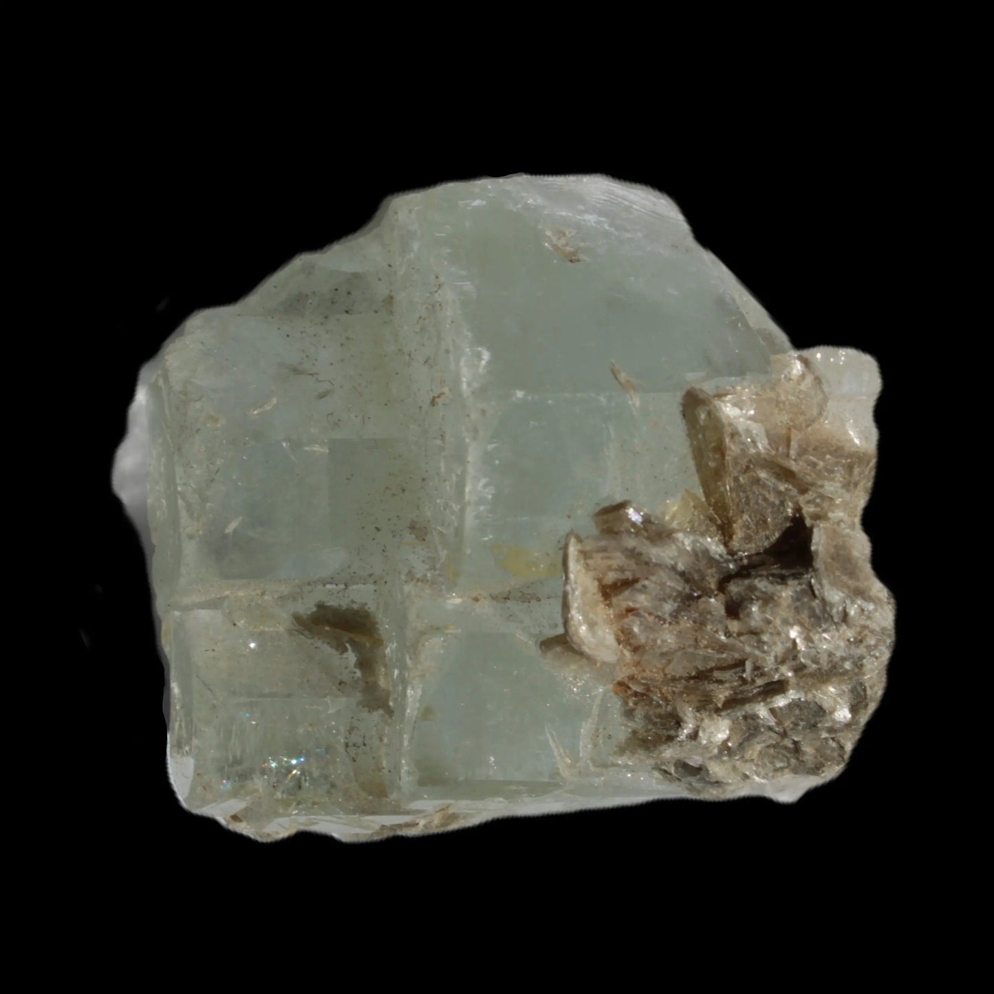 Blue Aquamarine stepped terminated crystal ladder with Muscovite from Afghanistan 26.4g Rocks and Things