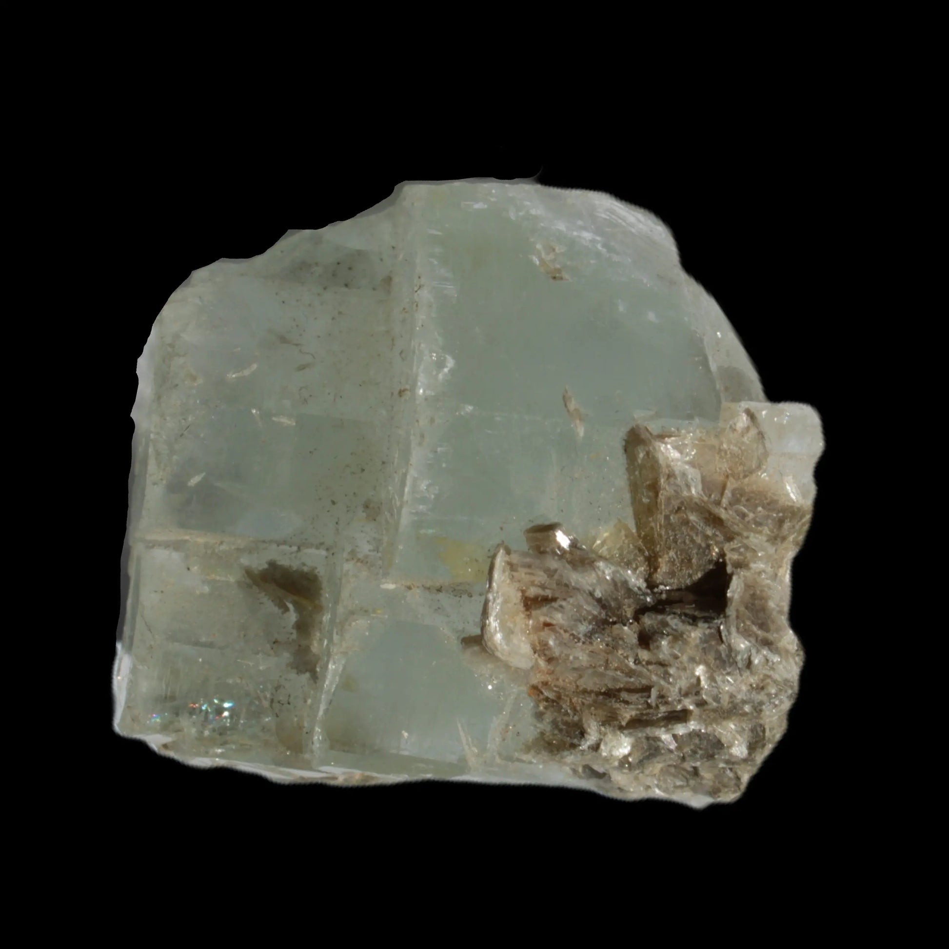 Blue Aquamarine stepped terminated crystal ladder with Muscovite from Afghanistan 26.4g Rocks and Things