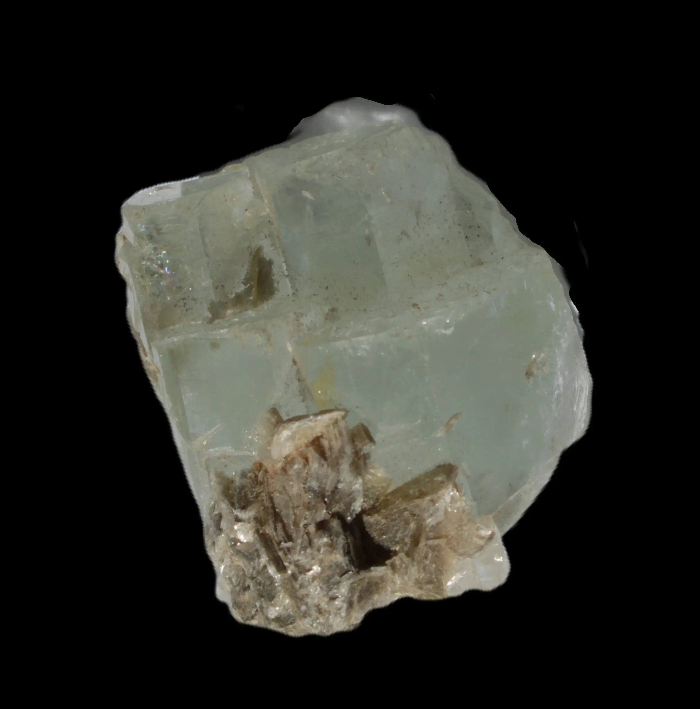 Blue Aquamarine stepped terminated crystal ladder with Muscovite from Afghanistan 26.4g in sunlight - Rocks and Things Store