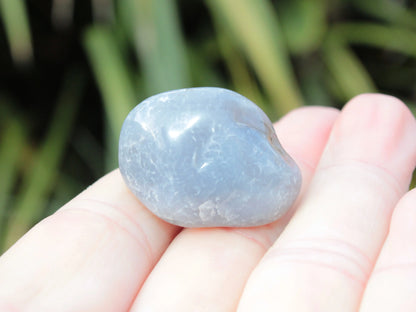 Blue Chalcedony tumbled stone 18g Rocks and Things