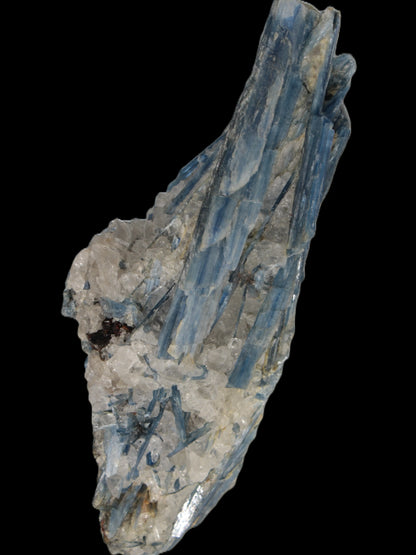 Blue Kyanite cluster 750g Rocks and Things