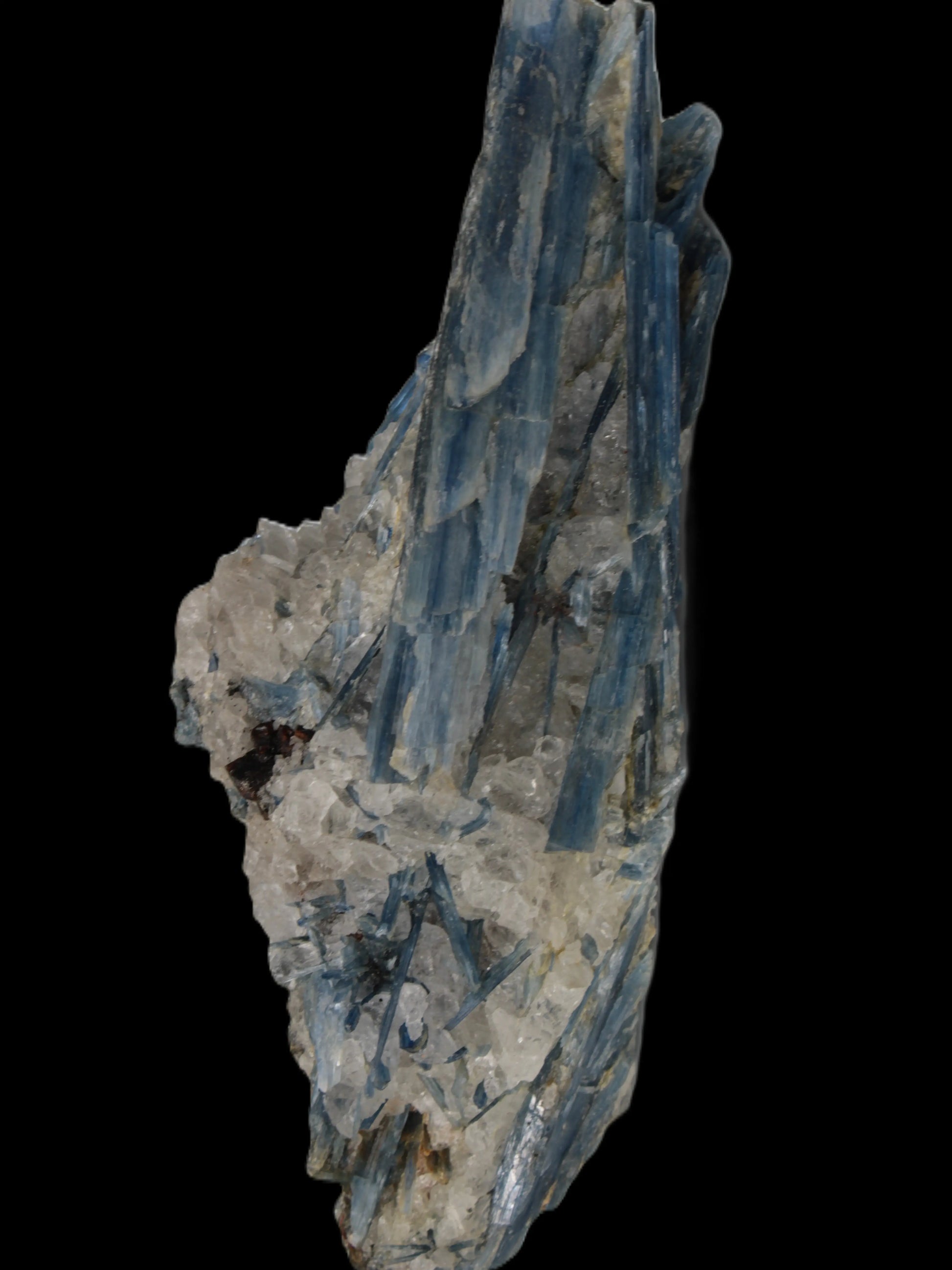 Blue Kyanite cluster 750g Rocks and Things