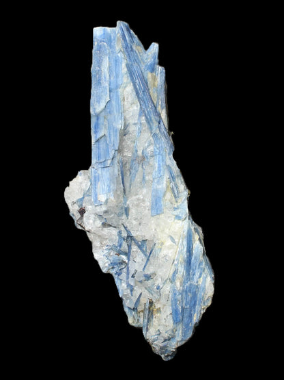 Blue Kyanite cluster 750g Rocks and Things