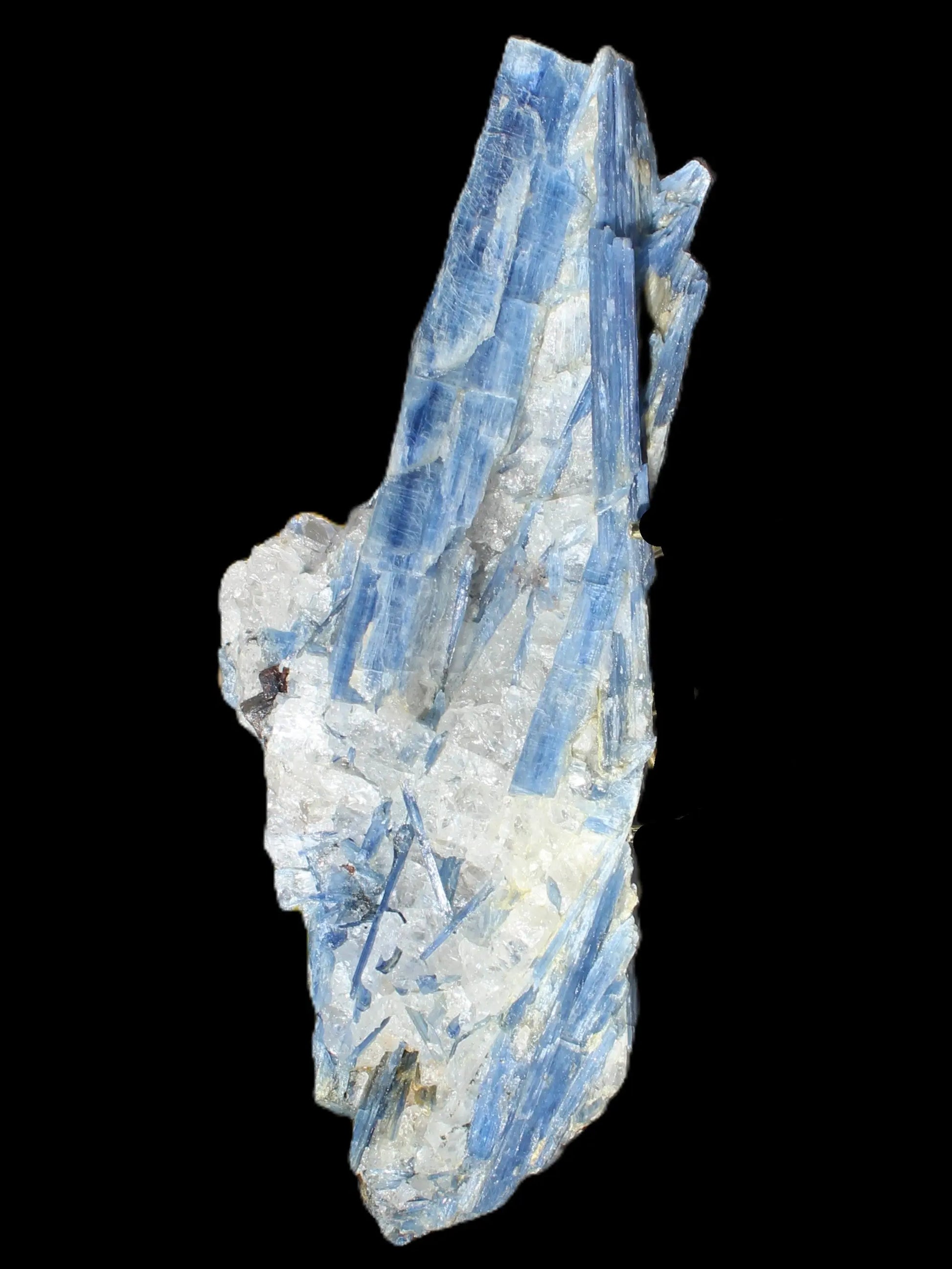 Blue Kyanite cluster 750g Rocks and Things