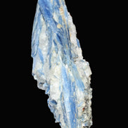 Superb Blue Kyanite cluster 750g in sunlight - Rocks and Things Store