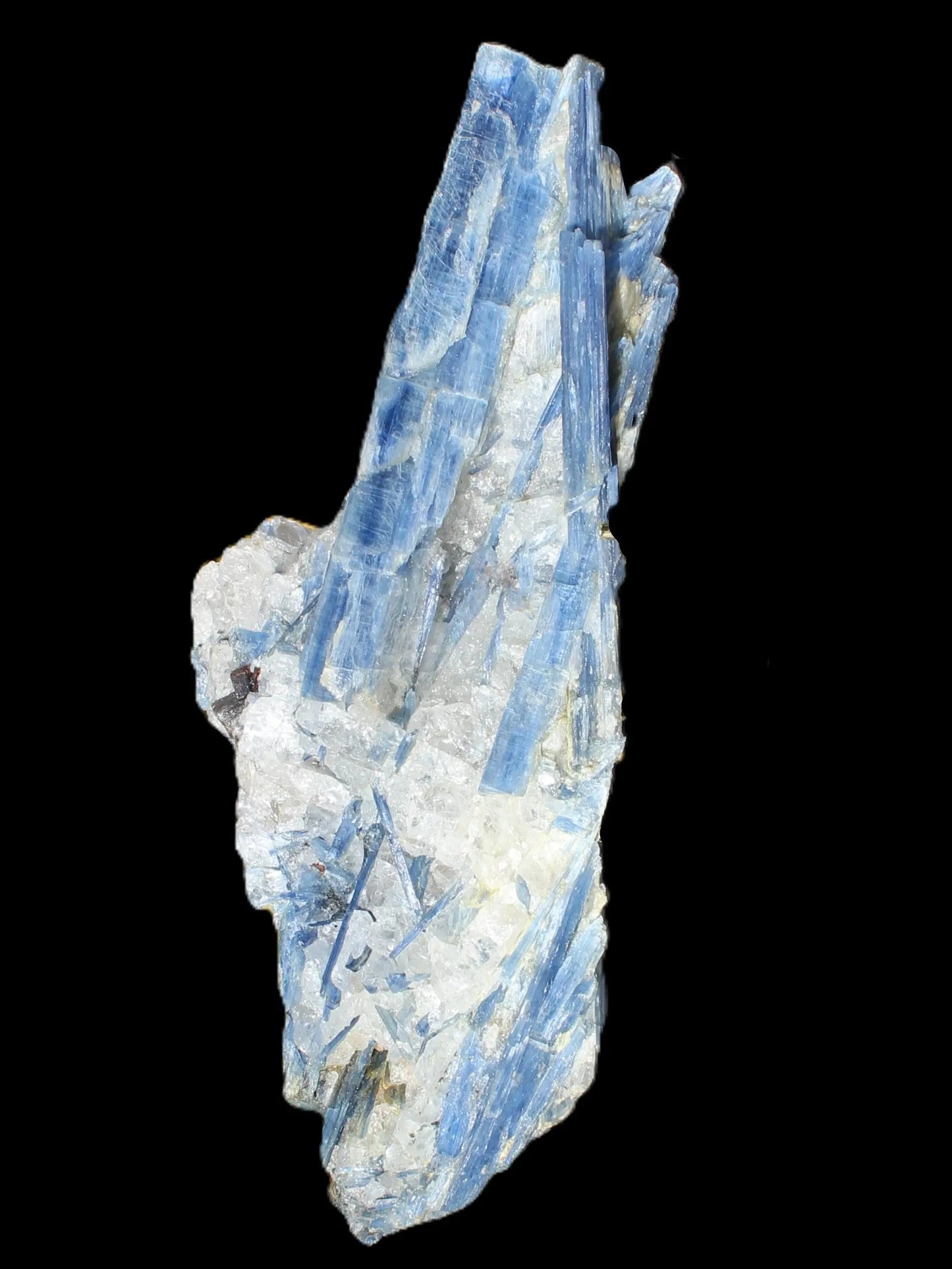 Blue Kyanite cluster 750g Rocks and Things