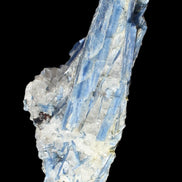 Superb Blue Kyanite cluster 750g in sunlight - Rocks and Things Store