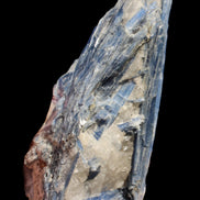 Blue Kyanite cluster with stand 830g in sunlight - Rocks and Things Store