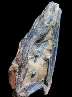 Blue Kyanite cluster with stand 830g in sunlight - Rocks and Things Store
