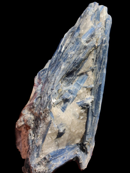 Blue Kyanite cluster with stand 830g in sunlight - Rocks and Things Store
