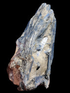 Blue Kyanite cluster with stand 830g in sunlight - Rocks and Things Store