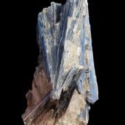 Blue Kyanite cluster with stand 830g in sunlight - Rocks and Things Store