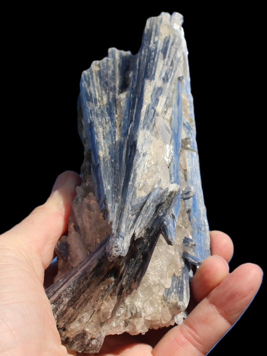 Blue Kyanite cluster with stand 830g Rocks and Things