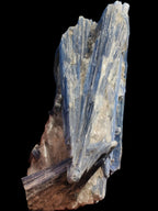 Blue Kyanite cluster with stand 830g in sunlight - Rocks and Things Store