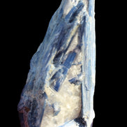 Blue Kyanite cluster with stand 830g in sunlight - Rocks and Things Store