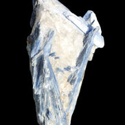 Blue Kyanite cluster with stand 830g in sunlight - Rocks and Things Store