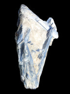 Blue Kyanite cluster with stand 830g in sunlight - Rocks and Things Store