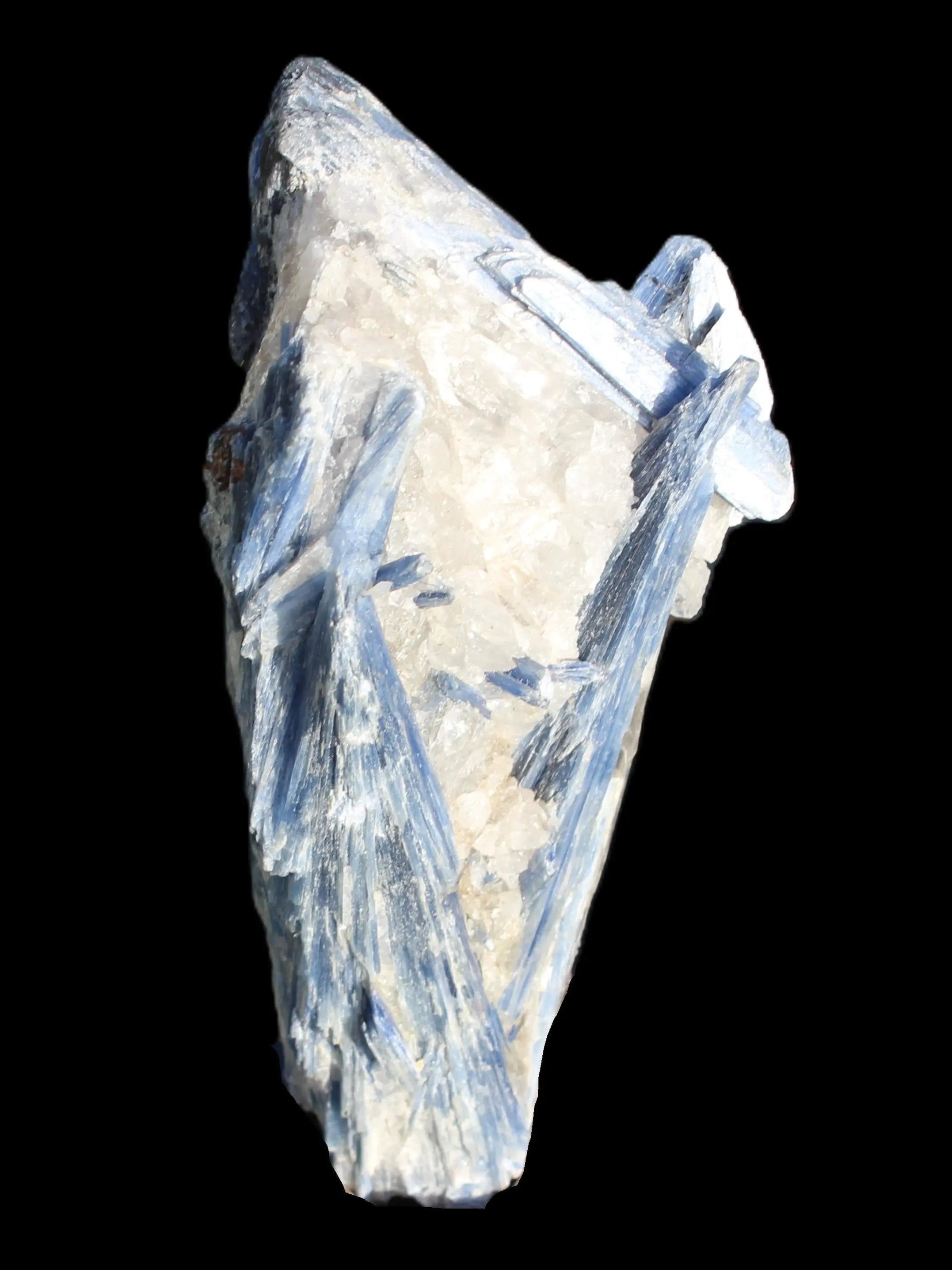 Blue Kyanite cluster with stand 830g in sunlight - Rocks and Things Store
