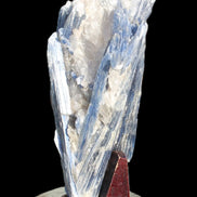 Blue Kyanite cluster with stand 830g in sunlight - Rocks and Things Store