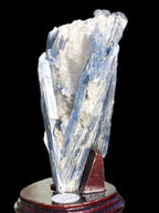Blue Kyanite cluster with stand 830g in sunlight - Rocks and Things Store
