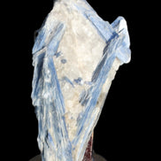 Blue Kyanite cluster with stand 830g in sunlight - Rocks and Things Store