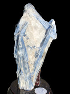 Blue Kyanite cluster with stand 830g in sunlight - Rocks and Things Store