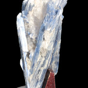 Blue Kyanite cluster with stand 830g in sunlight - Rocks and Things Store