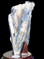 Blue Kyanite cluster with stand 830g in sunlight - Rocks and Things Store