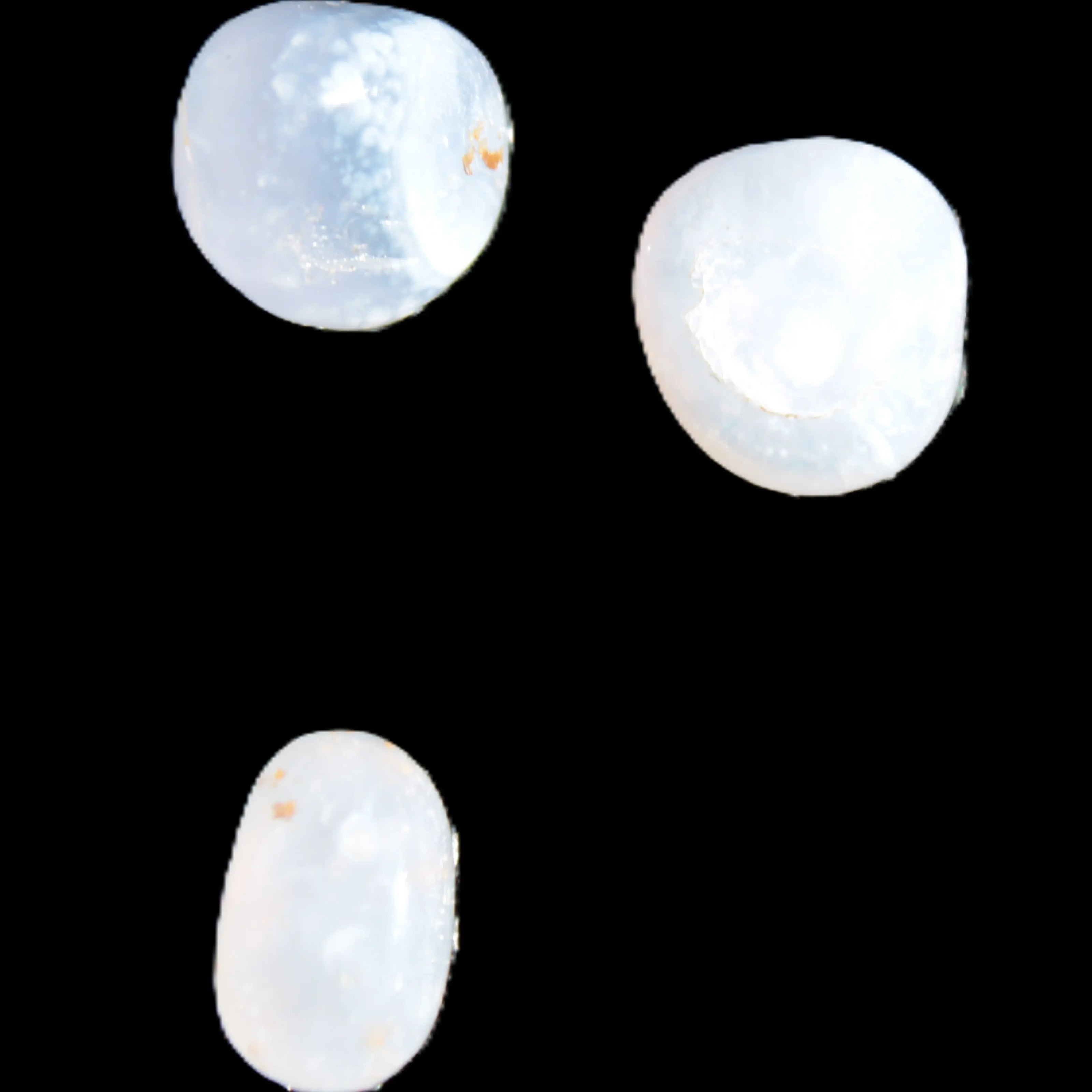 Blue Lace Agate 3 polished stones 8g Rocks and Things