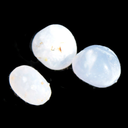 Blue Lace Agate 3 polished stones 8g Rocks and Things